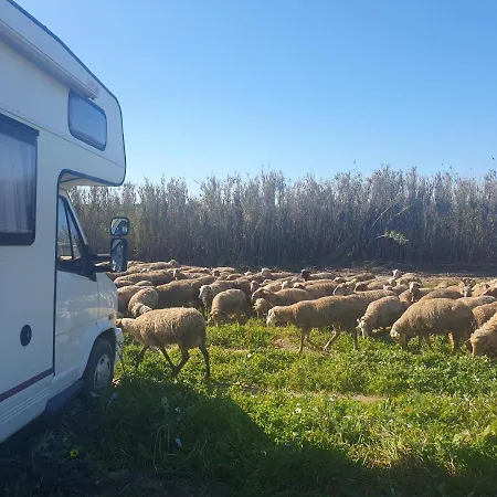 Rio's Camper * Faro